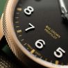 Big Crown ProPilot Big Date Bronze - Oris 