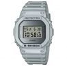 Montre G-Shock DW-5600FF-8ER Forgotten Future