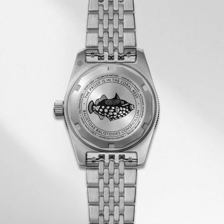 Montre Wolbrook Skindiver 38 Automatic Black