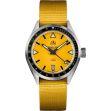 Montre Ollech & Wajs OW C-1000 Y Cadmium RAF