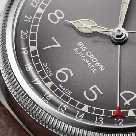 Montre Oris X Cervo Volante Big Crown Pointer Date | Grey