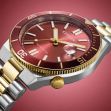 Montre Citizen Tsuyosa Shore NJ0234-58X